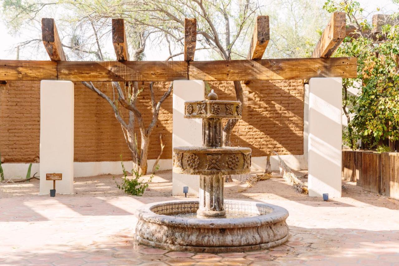 The Jth Tucson Hotel Avra Kültér fotó